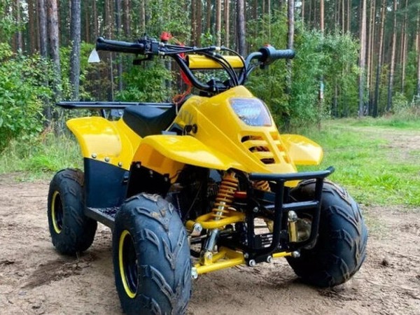 ���������� ����� �� Avantis  Classic 6 � �������