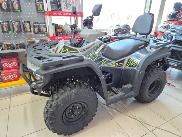 ���������� ����� �� Bashan  Explorer 300 � �������