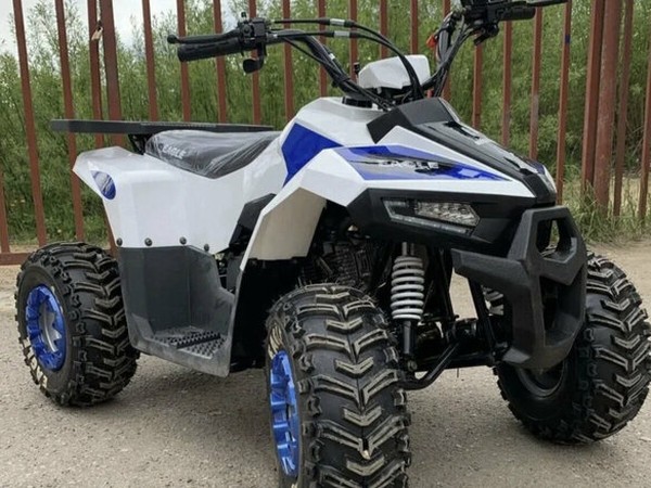 ���������� ����� �� Motoland  ATV 110 Eagle � �������