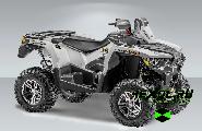     Stels ATV-800 Guepard ST (  800  )