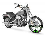    Harley-Davidson FXSTI Softail Standard (-  )