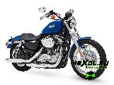    Harley-Davidson XL 883 Sportster (-  883 )