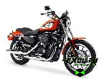   Harley-Davidson XL883 Sportster (-  883)