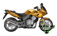    Honda CBF 1000 (  1000)