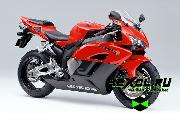    Honda CBR 1000 RR Fireblade (  1000  )