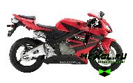    Honda CBR 600 RR (  600 )