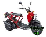    Honda Zoomer ( )