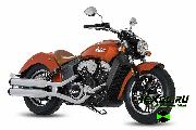    Indian Scout ( )