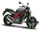    Suzuki SFV 650 Gladius (  650 )