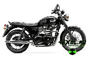    Triumph Bonneville T 100 (  100)