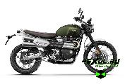    Triumph Scrambler 1200 XC (  1200 )