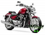    Triumph Thunderbird ( )