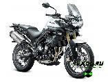    Triumph Tiger 800 (  800)