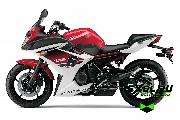    Yamaha FZ 6 R (  6 )