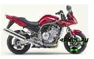 ����� �� �������� Yamaha FZS 1000 Fazer (����� ��� 1000 �����)