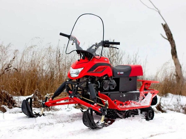 ���������� ����� �� Irbis (�����) Dingo � �������