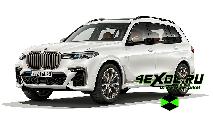  -   BMW X7 ( 7)