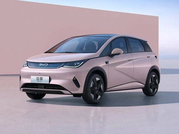 ����������� ���� �� BYD Dolphin (��� �������) � �������