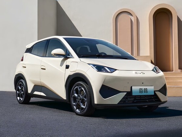 ����������� ���� �� BYD Seagull (��� �������) � �������