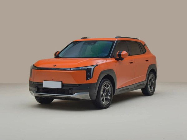 ����������� ���� �� Dongfeng Nammi 06 (�������� ����� 06) � �������