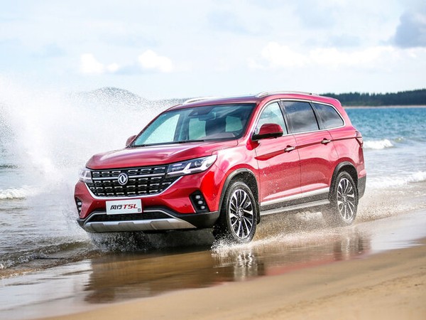 ����������� ���� �� Forthing T5L (�������� �5�) � �������