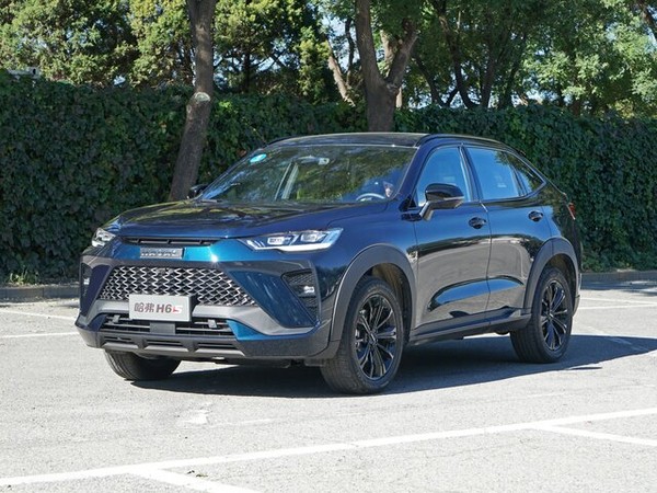 ����������� ���� �� Haval H6S (����� �6�) � �������