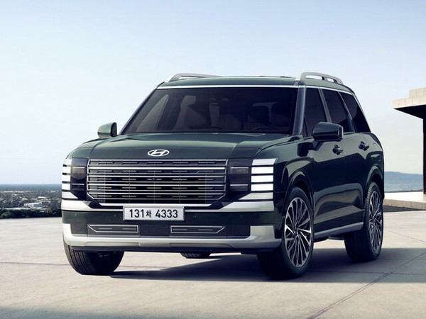 ����������� ���� �� Hyundai Palisade (������ �������) � �������