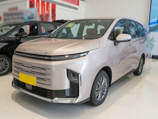 ����������� ���� �� Maxus G50 Max (����� �50 ���) � �������