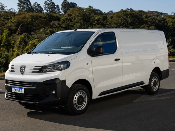 ����������� ���� �� Peugeot Expert (���� �������) � �������