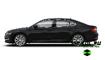  -   Skoda Superb ( )