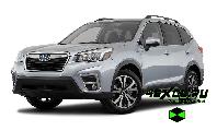  -   Subaru Forester ( )